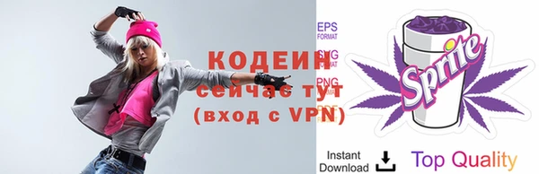 хмурый Сатка