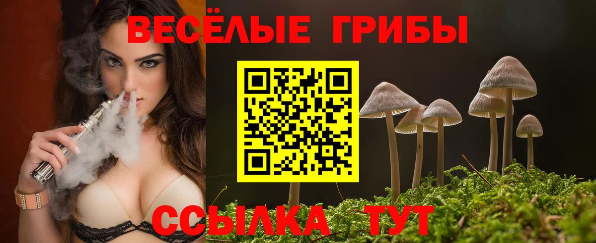 Галлюциногенные грибы Psilocybe Кимры
