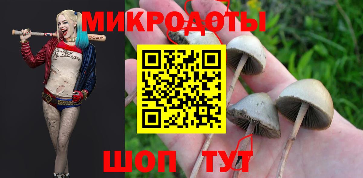 где купить наркоту  Псилоцибиновые грибы мухоморы  Вход с VPN  Кимры 